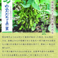【8月中旬～9月上旬頃発送】白山 だだちゃ豆 1kg 枝豆 えだまめ まめ マメ 生豆