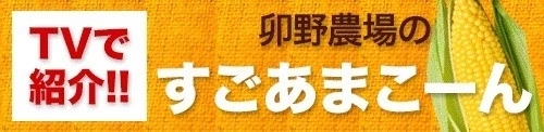 【TVで紹介】とうもろこし 卯野農場 すごあまこーん 12本入り 【3L~Lサイズ / 約3.6kg-4.8kg前後】  朝採り スイートコーン 《7-14営業日以内に発送予定（土日祝除く）》