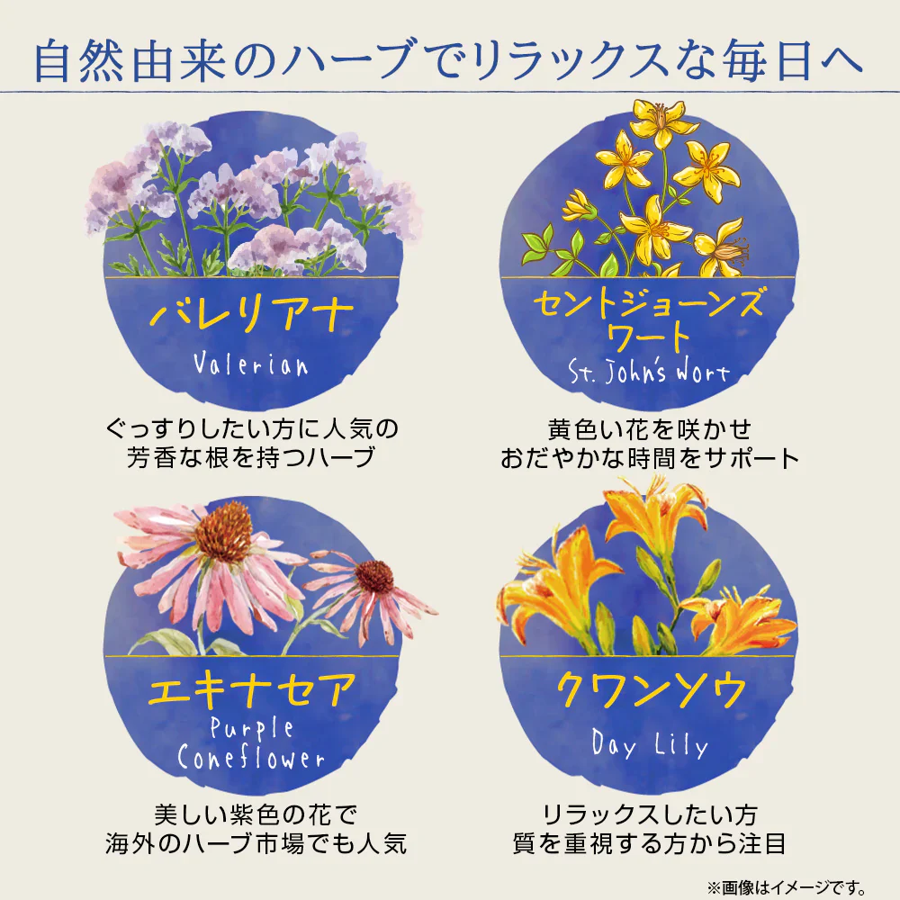 ネルエル180粒( リニューアル)4種のアミノ酸とナイアシンをプラス 快眠 眠気 休息サポート 朝が苦手 寝起きスッキリ 寝つきが悪い おやすみ前に 約3か月分 グリシン 植物ハーブ 毎日をサポート アミノ酸 サプリメント　エキナセアエキス