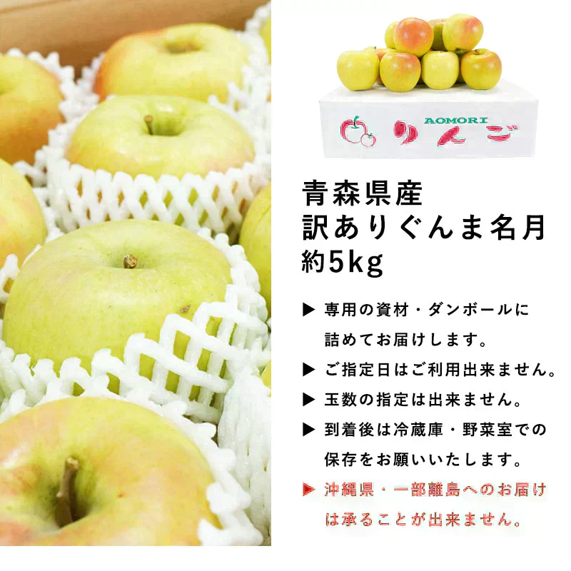 【ただいま発送中！】青森県産 訳あり ぐんま名月 約5kg ※11月中旬頃からご予約順に発送予定※ 家庭用 青森 りんご 林檎 群馬名月 果物 フルーツ 送料無料 ks