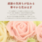 さいなおはぎ Happy スイーツ 和菓子 保存料・化学調味料不使用【送料込み】【二重包装不可】【お届け不可地域：北海道・沖縄・離島】