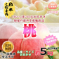 【8/15～9/15頃に発送予定】桃 5kg 4280円 山形県産 品種おまかせ 訳あり 家庭用