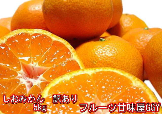 しおみかん  5kg みかん 熊本産 訳あり ご家庭用 80サイズ