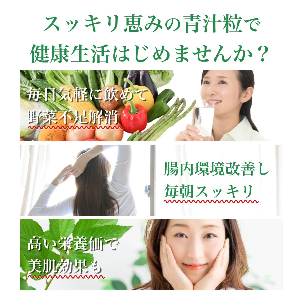 スッキリ恵みの青汁粒 100粒入り　3袋セット