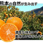 【10月上旬～中旬頃より順次出荷】みかん 5kg 送料無料 訳あり 箱込（内容量4kg＋補償分500g) 無選別 熊本みかん 極早生みかん 早生みかん 温州みかん蜜柑 ミカン