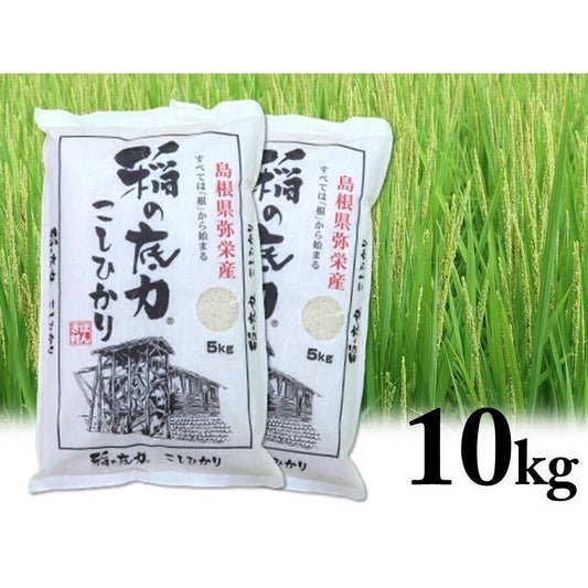令和5年産 島根県特産品コシヒカリ稲の底力こしひかり　5ｋｇ×2（合計10ｋｇ）【お届け不可地域：北海道・沖縄・離島】
