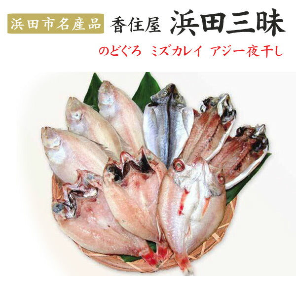 【3人シェア買いでお得】島根県特産品 海産物 浜田三昧（のどぐろ、水カレイ、アジ）干物セット