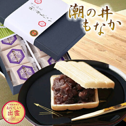 出雲市銘菓 和菓子 潮の井もなか １６個入【送料込み】