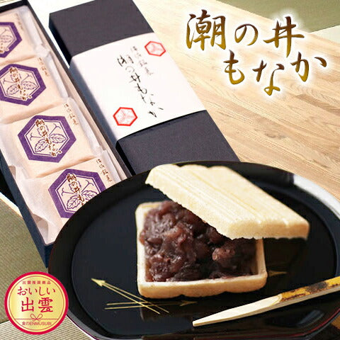 出雲市銘菓 和菓子 潮の井もなか ８ヶ入×３セット【送料込み】