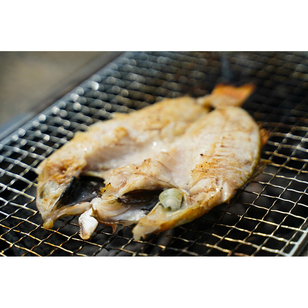 「一日漁」のどぐろ一夜干410ｇ【送料込み】【お届け不可地域：北海道・沖縄・離島】