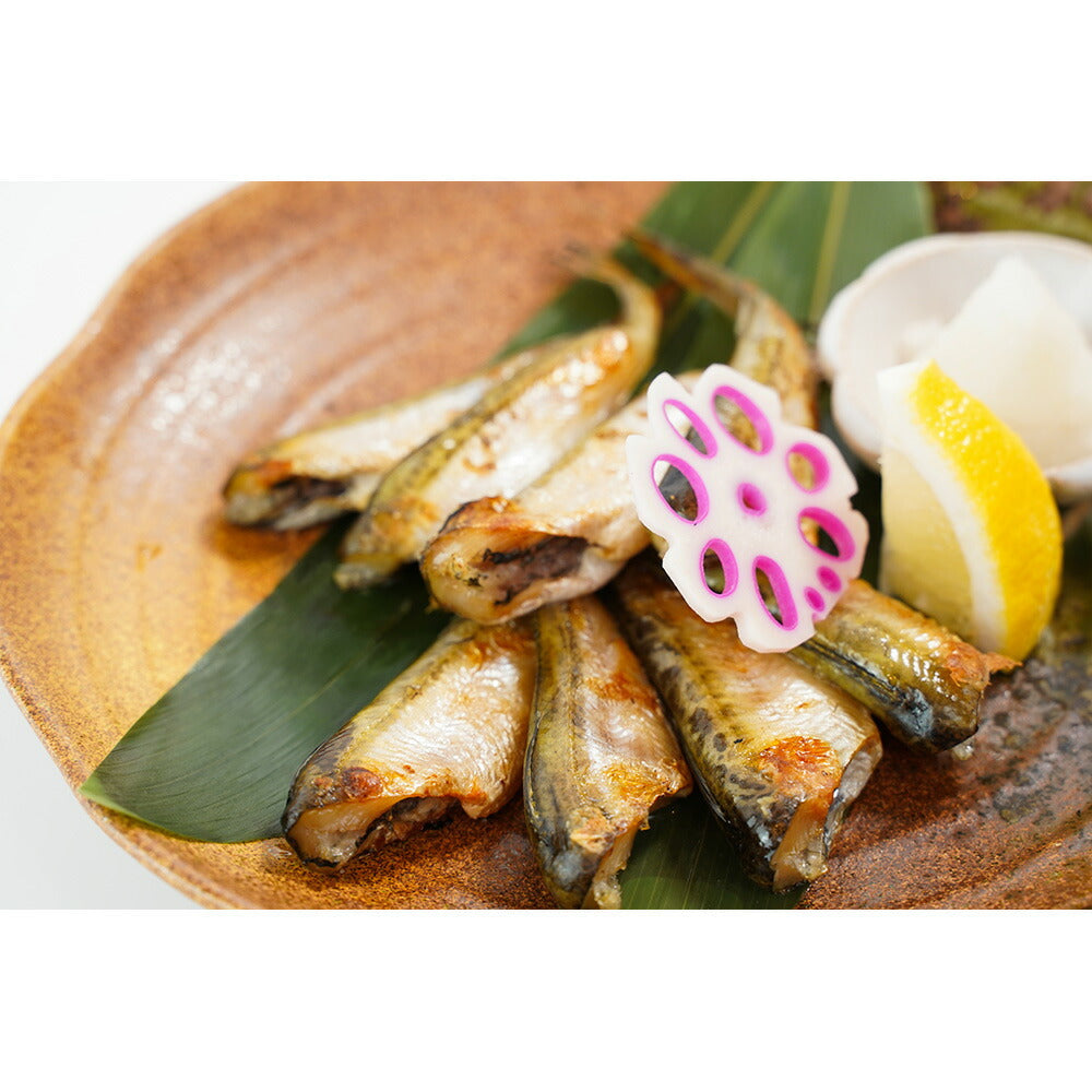 島根県沖 あなご＆3種のひもの詰合 のどぐろ あじ かます 島根県 国産【送料込み】【お届け不可地域：北海道・沖縄・離島】