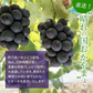 【9月上旬順次発送】送料無料 岡山産 ピオーネ 0.8-1キロ 2房入