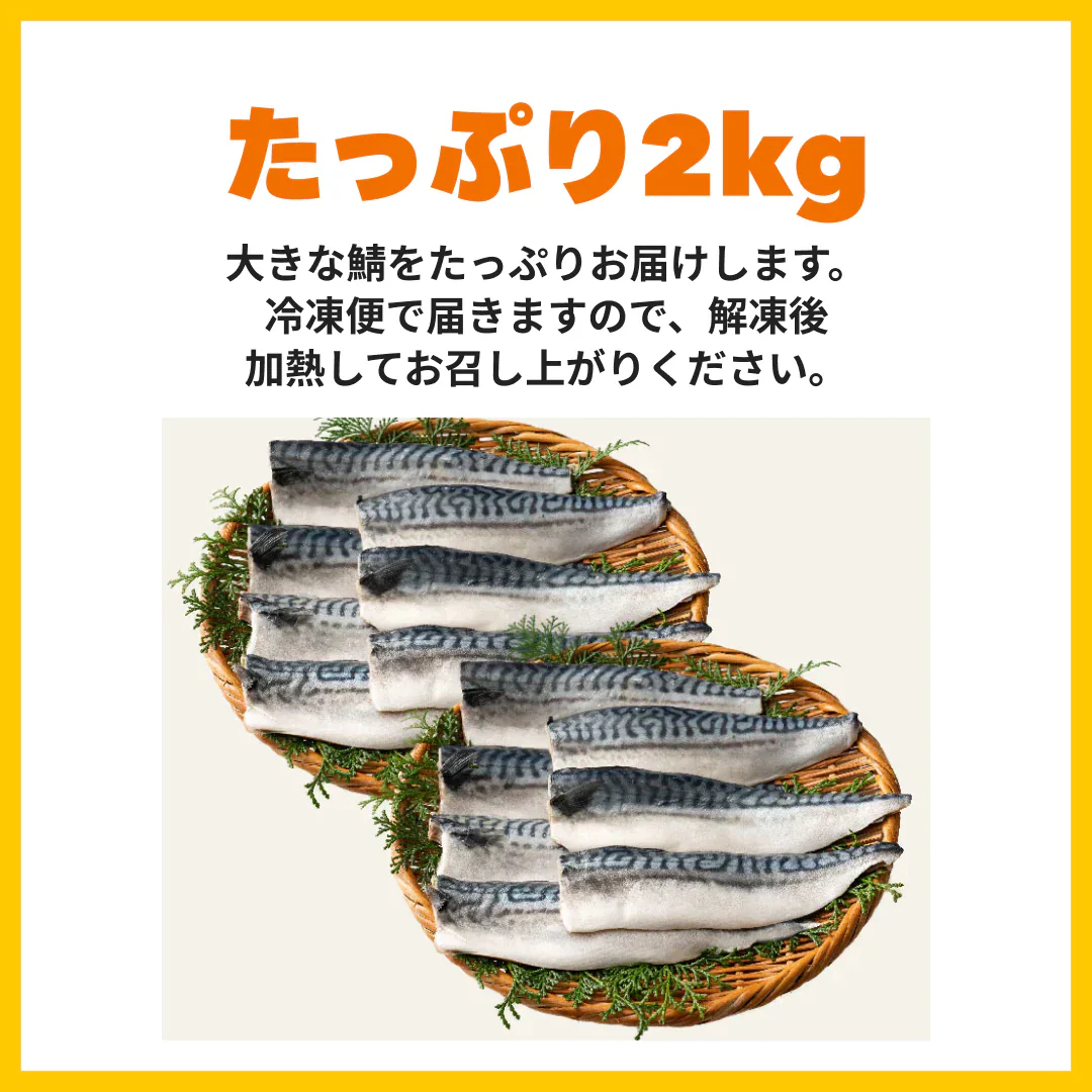 さば 無添加 無塩 トロさば サバ 鯖 約2kg(12〜16尾）トロ鯖 海鮮 天然 美味しい 魚 魚介 海産物 おかず おつまみ 乾き物 酒の肴 贈り物 お取り寄せグルメ 食べ物 おいしい 絶品