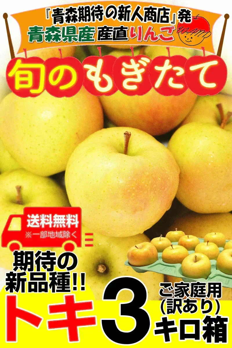 10月9日～発送！青森県産 りんご トキ 3kg箱 家庭用/訳あり ★トキ 家訳 3kg箱