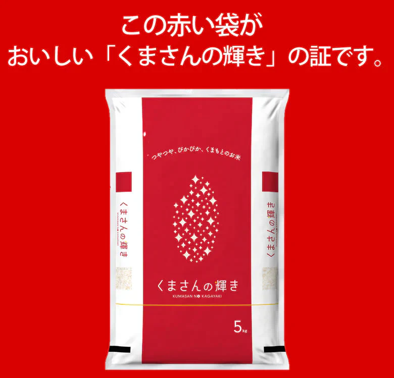 くまさんの輝き 米 10kg (5kg×2） 送料無料 令和5年産 熊本県産 お米 白米 玄米 コシヒカリ ヒノヒカリ 森のくまさん