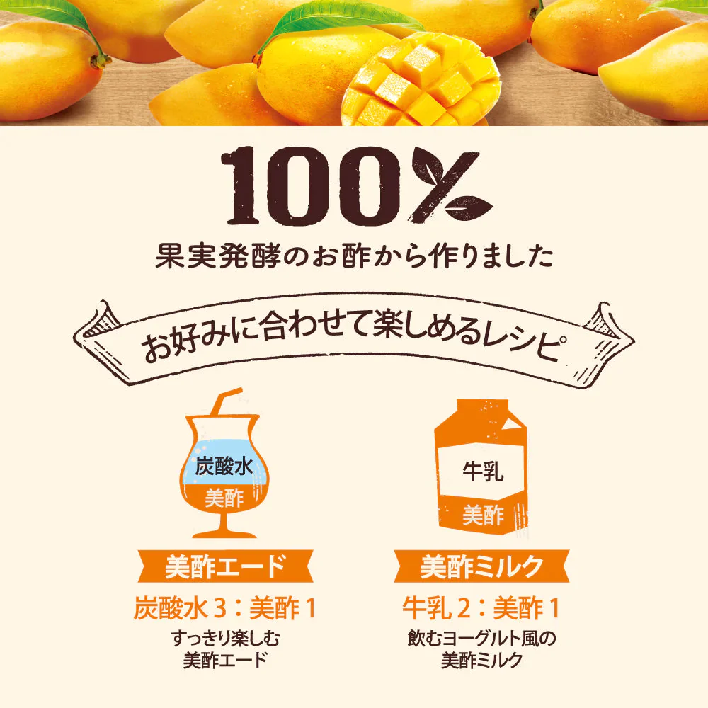 美酢プラス ざくろ 500mL 1本 マンゴー 500mL 1本 計2本 希釈タイプ（栄養機能食品 ビタミンC ミチョ みちょ）