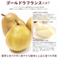 【11月下旬-12月下旬頃ご注文受付順次】洋梨　ゴールドラフランス　約3kg（7-12玉前後）化粧箱詰め　ギフト　山形県産　西洋梨　なし　ようなし　金色