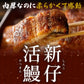 特大うなぎ蒲焼 約200gｘ5本 九州産
