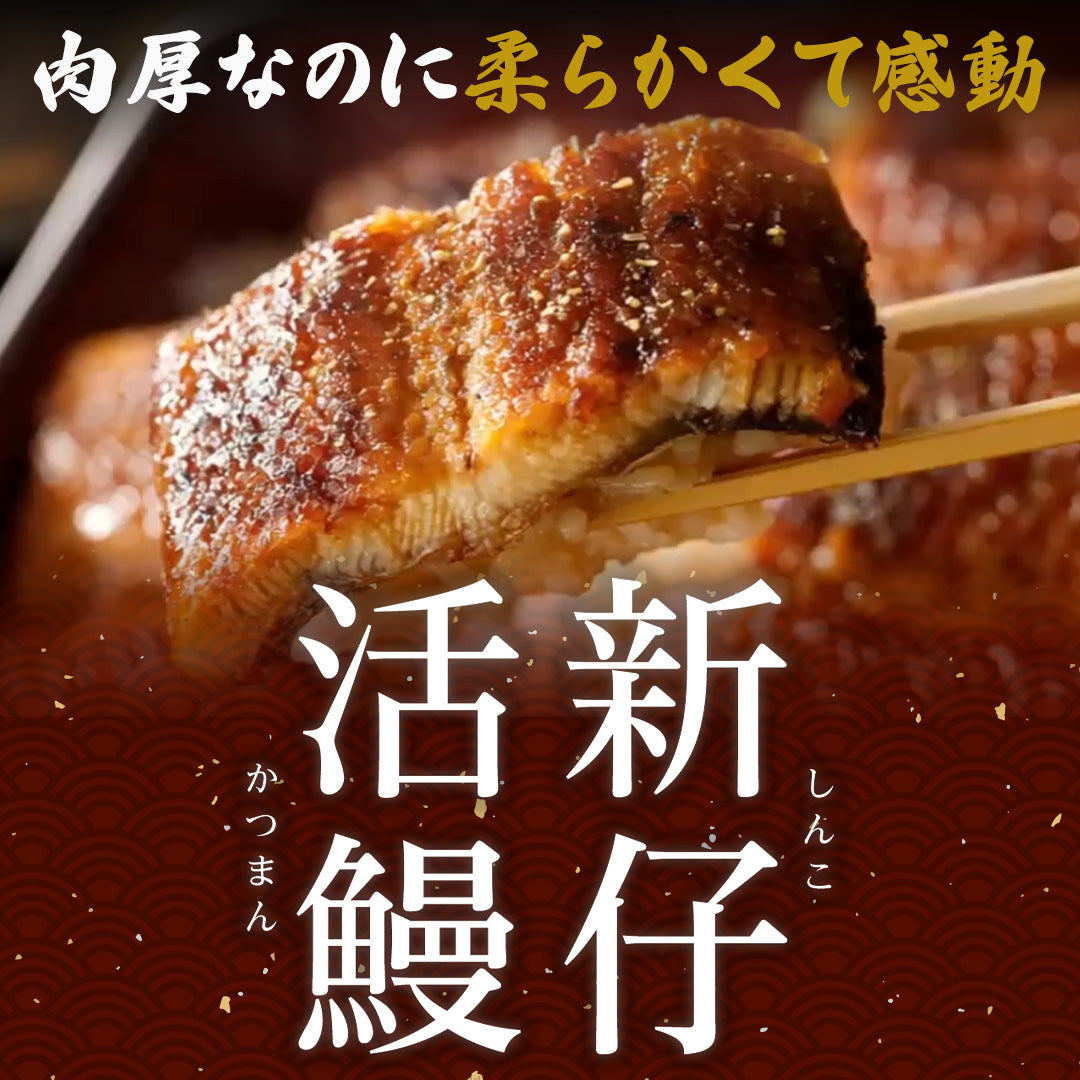 特大うなぎ蒲焼 約200gｘ5本 九州産