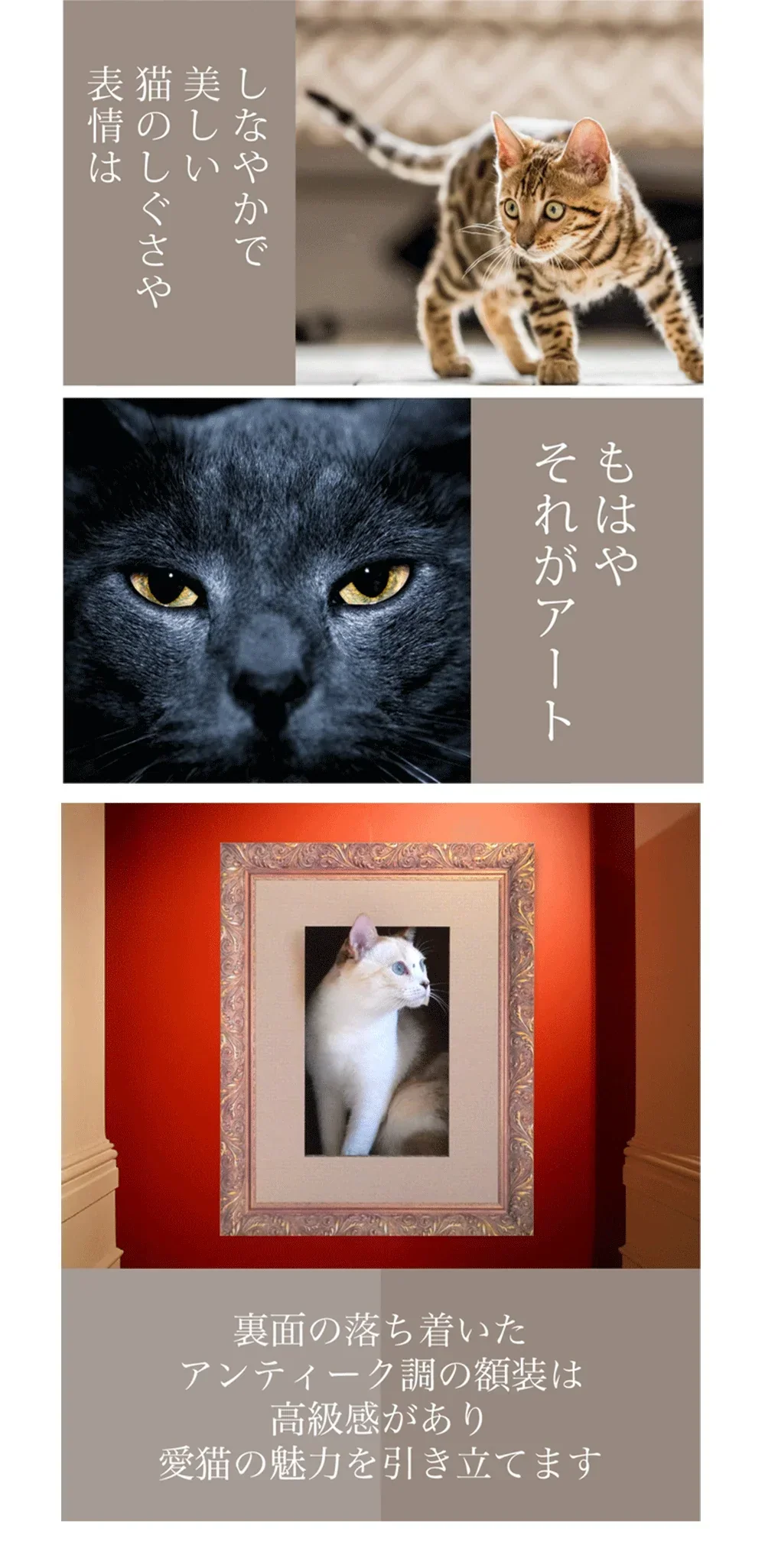 バリバリミュージアム -フェルメール絵画風-  爪とぎハウス◆ ねこの爪とぎ キャットハウス ペットハウス ダンボール 段ボール 爪とぎ 爪研ぎ つめとぎ 猫 ネコ 猫用品 ペット ぺっと グッズ  画家 顔ハメ 絵 額 オシャレ かわいい 猫の日 おしゃれ