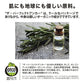 正規代理店品 ザ・パーフェクトアンカー ピュアカスチールソープ プラス 502ml 送料無料 #31 ブラックスプルースブレンド ポンプ ジェルタイプ 100％天然 無添加 認定オーガニック 顔 全身 石鹸 メイク落とし サハラ オーガニックシャンプー クレンジング メイク落とし ボディソープ オーガニック