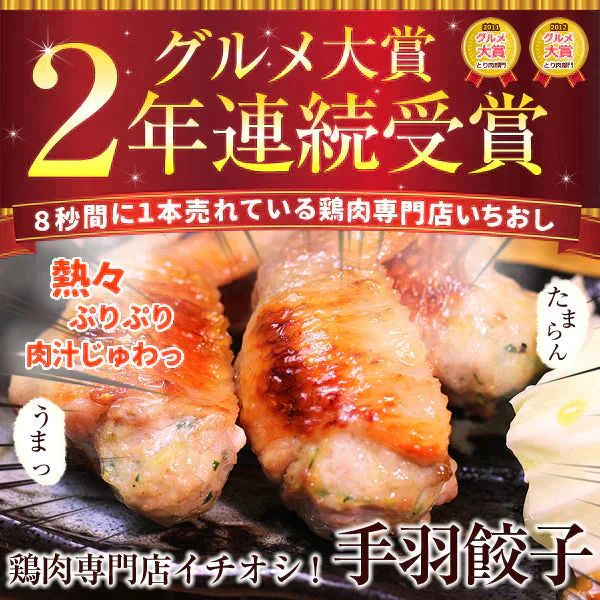 8秒に1本売れてる！手羽先餃子20本セット【ゲリラセール】