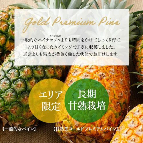 【一時休売】甘熟王ゴールドプレミアムパイン 2玉
