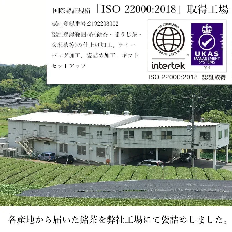 ゆたかみどり 鹿児島茶 緑茶 エピガロカテキン 山城物産 カテキン 100g