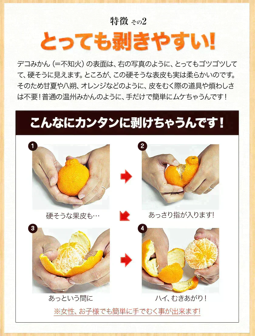 本場熊本産 訳あり デコみかん 送料無料 1.5kg 不知火 みかん ミカン 熊本県産 訳あり デコポン と同品種 熊本 柑橘  7-14営業日以内に発送予定(土日祝除く)