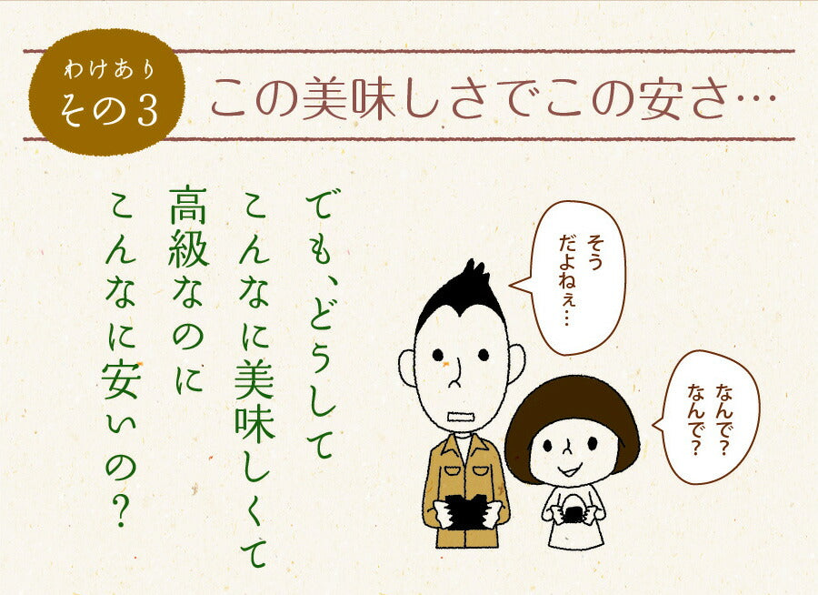 【2個セット】日本橋いなば園 有明海産わけあり味付け海苔 8切160枚 ネコポス メール便送料無料 味付け海苔 味つけ海苔 味海苔 おにぎらず 味のり 味付海苔 味付けのり 有明海苔 わけあり 有明海苔 おにぎりのり 焼海苔 焼きのり 茶匠庵 葉酸