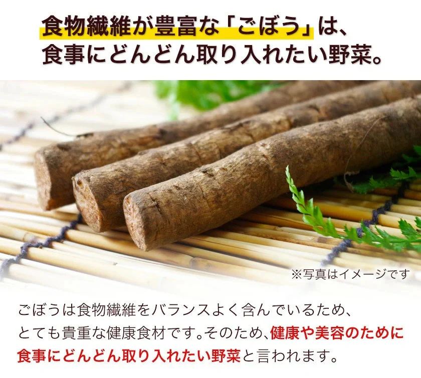 ごぼうチップス 200g(100g×2袋) 送料無料 おつまみ おやつ お菓子 国産 スナック 菓子 健康おやつ 食物繊維 食育 子供向け 野菜チップス　《7-14営業日以内に出荷予定(土日祝日除く)》