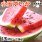 すいか 送料無料 訳あり 小玉すいか 2玉 約2～2.5kg スイカ 熊本すいか お取り寄せ すいか 西瓜 ひとりじめ 果物 フルーツ