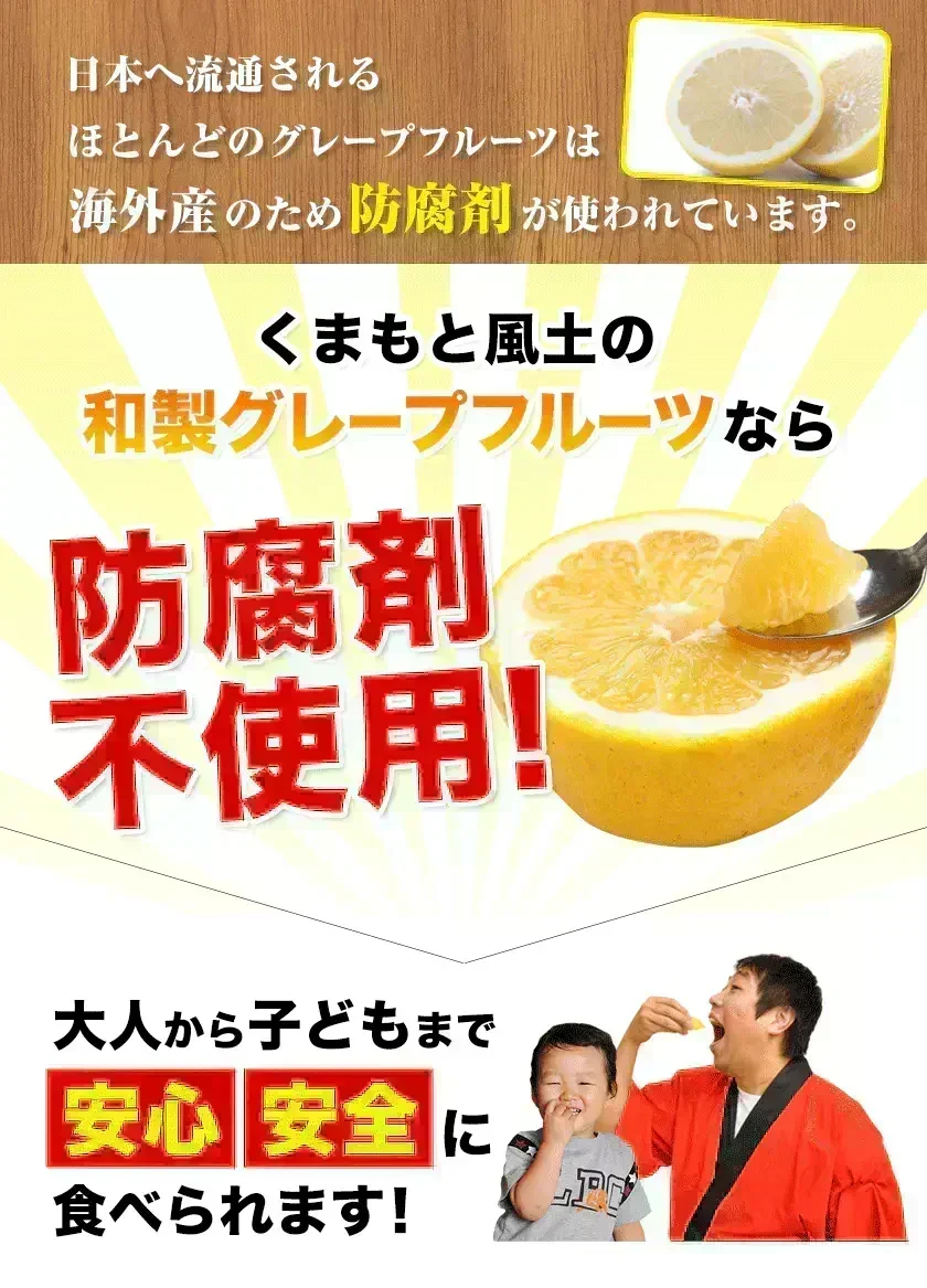河内晩柑 送料無料 1.5kg 和製 グレープフルーツ 旬 の フルーツ 果物 みかん 訳あり 夏文旦 晩柑 宇和ゴールド ジューシーみかん 熊本県産 《1-5営業日以内に発送予定(土日祝日除く)》