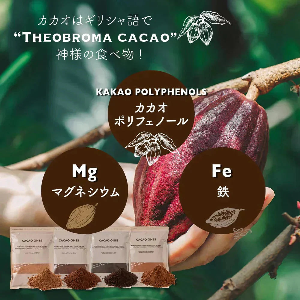[低脂肪]ココアパウダー 【1袋】500g 美味しいココアを少し低脂質でいかがですか お菓子作り 手作りお菓子 香料不使用 製菓 製パン おやつ ポリフェノール 低脂質 カカオ 送料無料