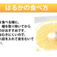 はるか みかん 10kg 箱込（内容量9kg＋補償分500g) 送料無料 訳あり 無選別 熊本県産 はるかみかん ミカン 蜜柑