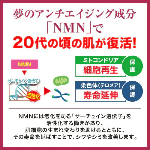 『NMN オールインワンゲル（1個）』 オールインワン NMN しわ しみ  くすみ たるみ ニコチンアミドモノヌクレオチド 整肌 クリーム ゲル