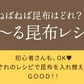 [大袋]  納豆こんぶ 大袋 500g 　お徳用 業務用