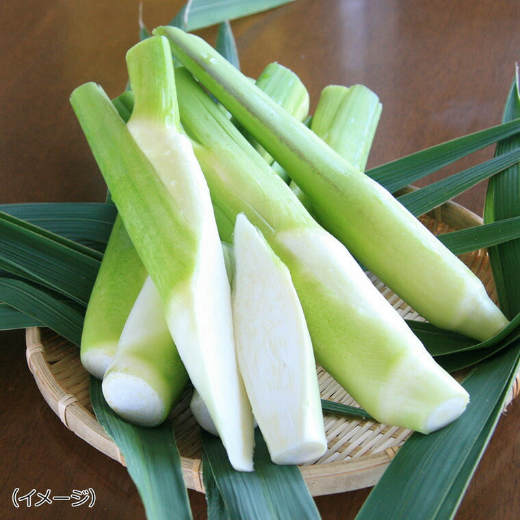 里庄マコモタケ（まこもたけ）の葉　パウダー 50g【送料込み】【メール便のため日時指定不可】