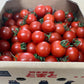 トマト🍅（トマト・ミディトマト・ミニトマトなど種類は出品者おまかせ）送料無料【ご新規さん限定商品】60サイズ