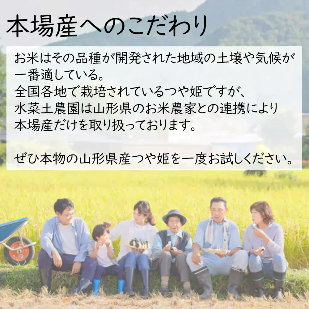 山形県産 つや姫 精米20kg（5kg×4袋）令和7年産 古代米プレゼント付き