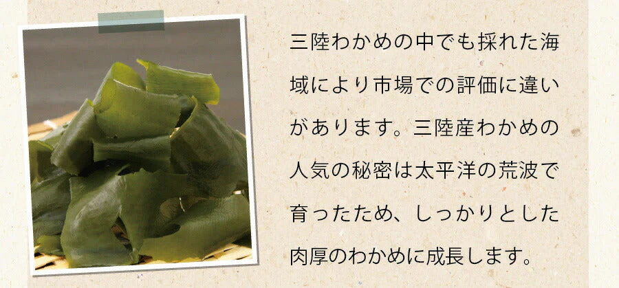 【2個セット】日本橋いなば園 三陸産カットわかめ 40g メール便送料無料