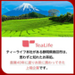 【最短当日出荷】贅沢はちみつ紅茶 カップ用 15個入（国産はちみつパウダー ハチミツ紅茶 ギフト 蜂蜜 ぜいたく ドリンク 自然の甘み ティーライフ）