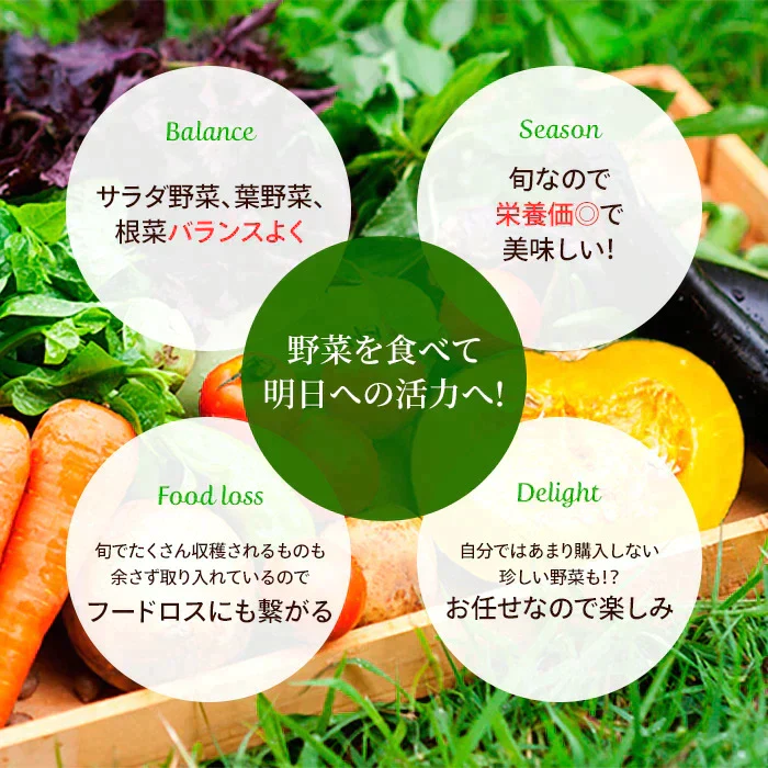 送料無料 野菜セット 10品セット おまかせ野菜セット 野菜詰め合わせ お試し野菜セット 西日本野菜セット フードロス 岡山 複袋 福袋 送料込 も ったいない 人気 安い 野菜宅配 おすすめ プレゼント ギフト 実用的 父の日 ギフト 福袋 お正月