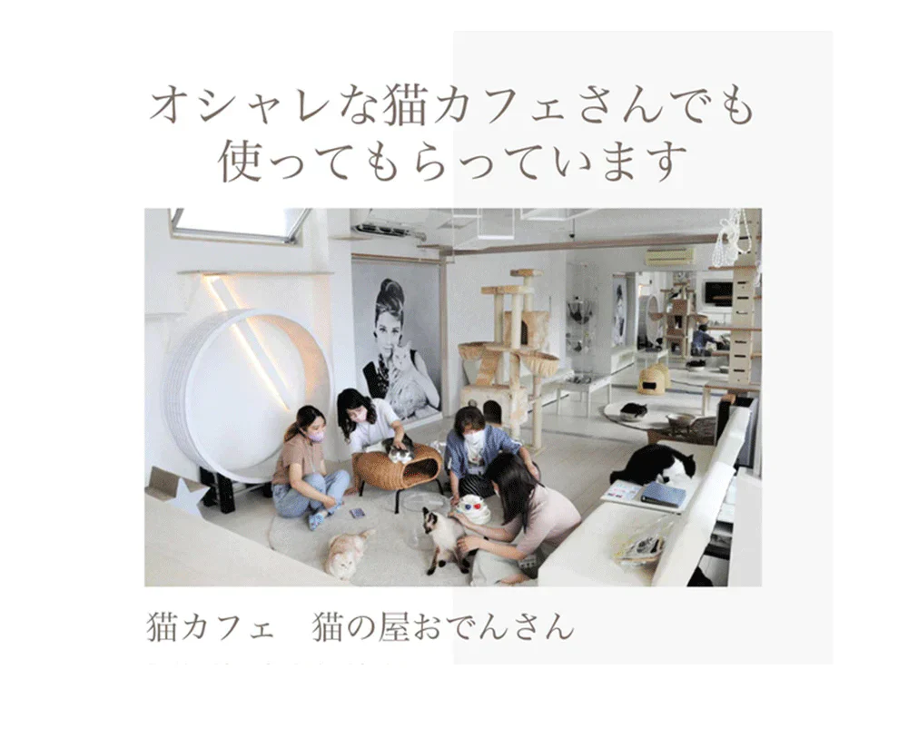 バリバリミュージアム -フェルメール絵画風-  爪とぎハウス◆ ねこの爪とぎ キャットハウス ペットハウス ダンボール 段ボール 爪とぎ 爪研ぎ つめとぎ 猫 ネコ 猫用品 ペット ぺっと グッズ  画家 顔ハメ 絵 額 オシャレ かわいい 猫の日 おしゃれ