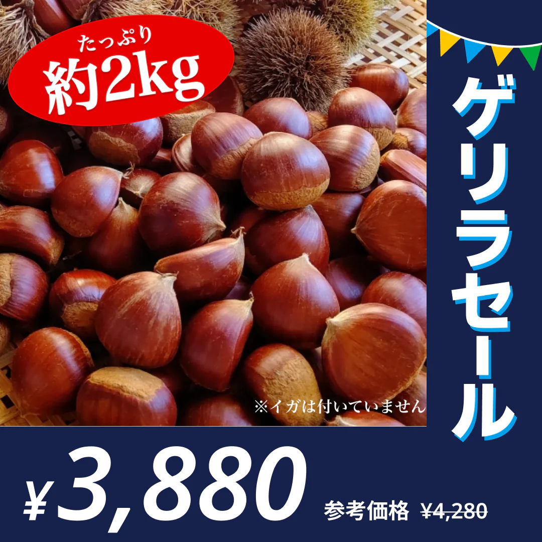 利平栗 訳あり  1箱(2kg)  L〜2Lサイズ 熊本産 クール便【ゲリラセール】　60サイズ