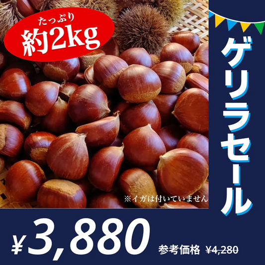 利平栗 訳あり  1箱(2kg)  L〜2Lサイズ 熊本産 クール便【ゲリラセール】　60サイズ