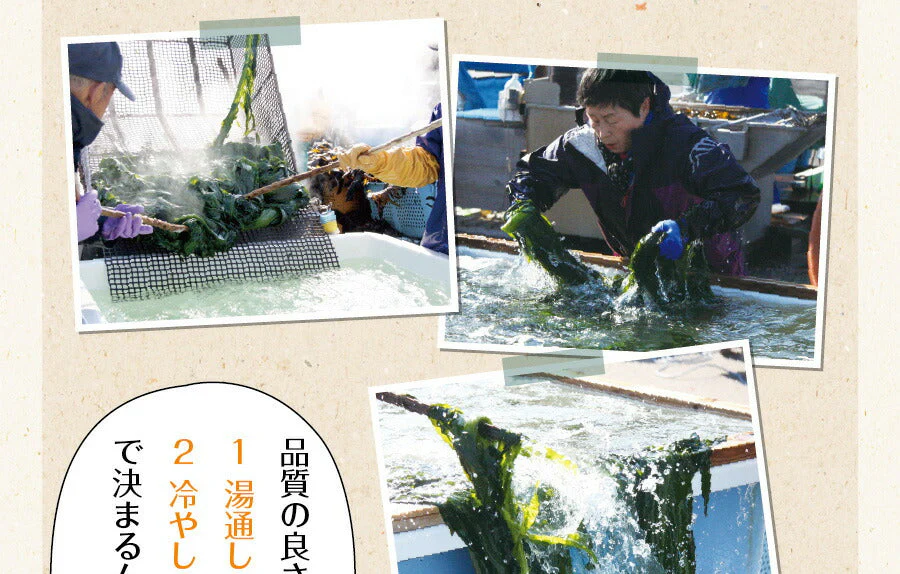日本橋いなば園 三陸産カットわかめ 40g メール便送料無料