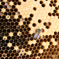 SHIMANTO LOCAL HONEY　80g