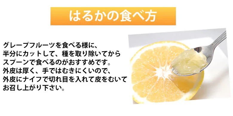 はるか みかん 送料無料 秀品 5kg S～2L 平成生まれの品種 はるかみかん ミカン 蜜柑