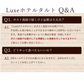 絶対食べて欲しい。 Luxeホテルタルト 6号　エリオンツゥアナナス  (パイナップルのタルト)【予約販売】10営業日以内に出荷